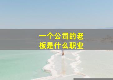 一个公司的老板是什么职业