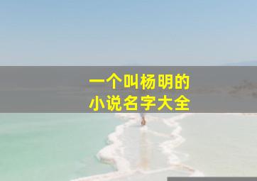 一个叫杨明的小说名字大全