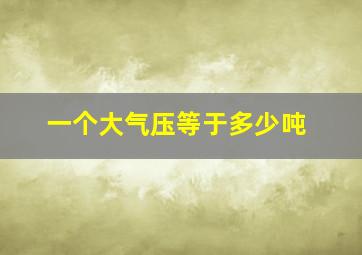 一个大气压等于多少吨