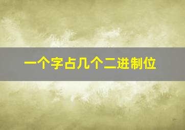 一个字占几个二进制位