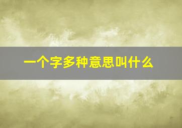 一个字多种意思叫什么