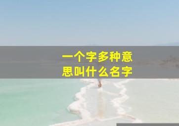 一个字多种意思叫什么名字