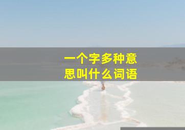 一个字多种意思叫什么词语