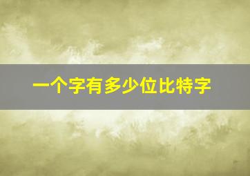 一个字有多少位比特字