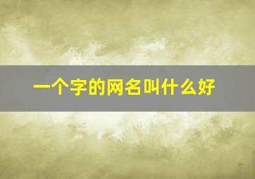 一个字的网名叫什么好