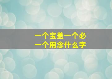 一个宝盖一个必一个用念什么字