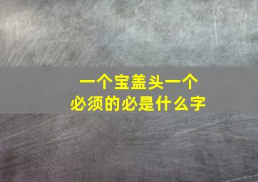 一个宝盖头一个必须的必是什么字