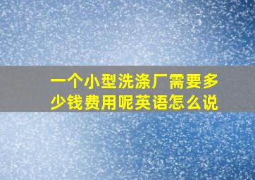 一个小型洗涤厂需要多少钱费用呢英语怎么说