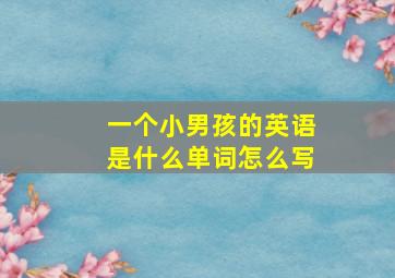 一个小男孩的英语是什么单词怎么写