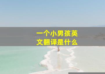 一个小男孩英文翻译是什么