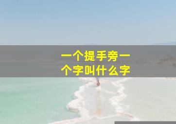 一个提手旁一个字叫什么字