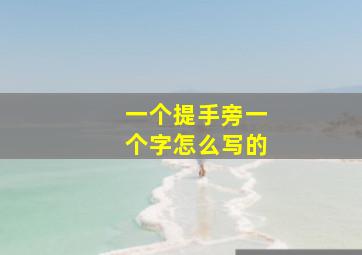 一个提手旁一个字怎么写的