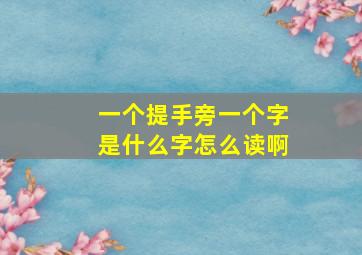 一个提手旁一个字是什么字怎么读啊