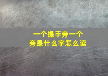 一个提手旁一个旁是什么字怎么读