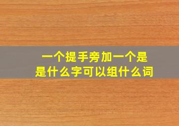 一个提手旁加一个是是什么字可以组什么词