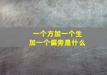 一个方加一个生加一个偏旁是什么