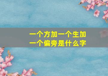 一个方加一个生加一个偏旁是什么字