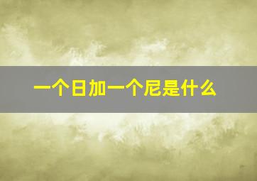 一个日加一个尼是什么