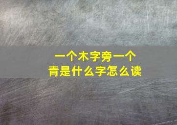 一个木字旁一个青是什么字怎么读