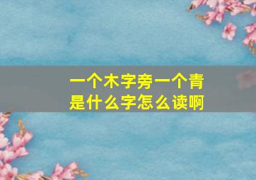 一个木字旁一个青是什么字怎么读啊