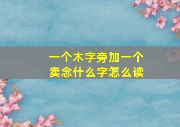 一个木字旁加一个卖念什么字怎么读