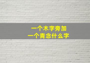 一个木字旁加一个青念什么字