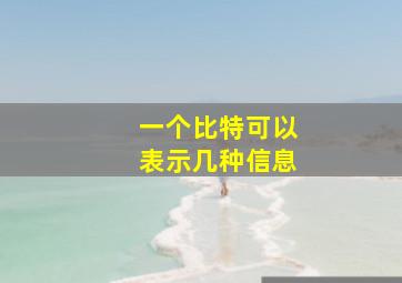 一个比特可以表示几种信息