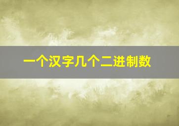 一个汉字几个二进制数