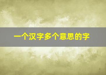 一个汉字多个意思的字