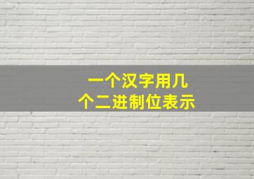 一个汉字用几个二进制位表示