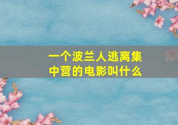 一个波兰人逃离集中营的电影叫什么