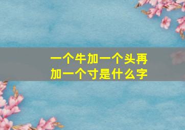 一个牛加一个头再加一个寸是什么字