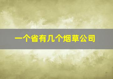 一个省有几个烟草公司