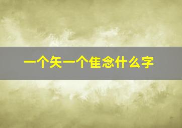 一个矢一个隹念什么字