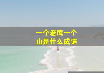 一个老鹰一个山是什么成语