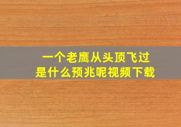 一个老鹰从头顶飞过是什么预兆呢视频下载