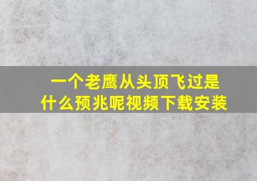 一个老鹰从头顶飞过是什么预兆呢视频下载安装