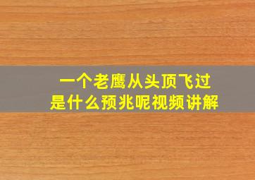 一个老鹰从头顶飞过是什么预兆呢视频讲解