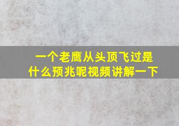 一个老鹰从头顶飞过是什么预兆呢视频讲解一下