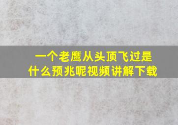 一个老鹰从头顶飞过是什么预兆呢视频讲解下载