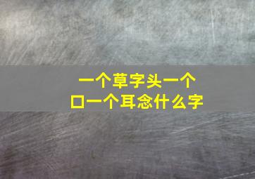 一个草字头一个口一个耳念什么字