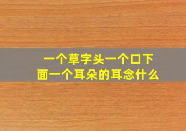 一个草字头一个口下面一个耳朵的耳念什么