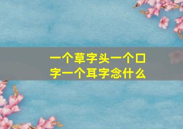 一个草字头一个口字一个耳字念什么