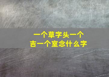 一个草字头一个吉一个室念什么字