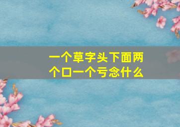 一个草字头下面两个口一个亏念什么