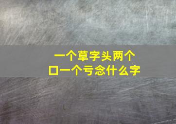 一个草字头两个口一个亏念什么字