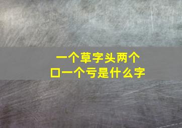 一个草字头两个口一个亏是什么字