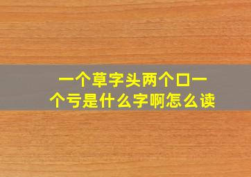 一个草字头两个口一个亏是什么字啊怎么读