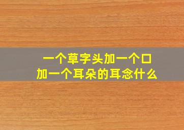 一个草字头加一个口加一个耳朵的耳念什么