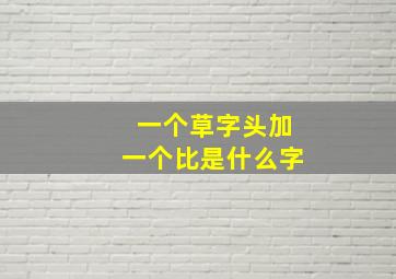 一个草字头加一个比是什么字